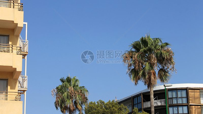 旅行社加盟合同签订全攻略：关键点与注意事项